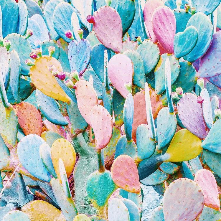 Down to mars girl. photo