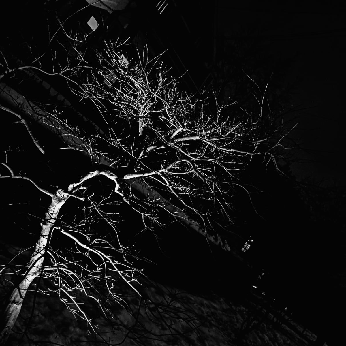 Your Certified Lover Boy photo