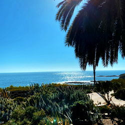 princess lil 💗 photo