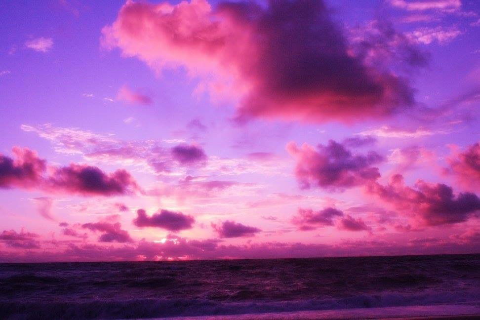 💕 Luna D.Light 💕 id0lls Lei 😈 photo