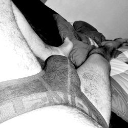 Más oso perezoso photo