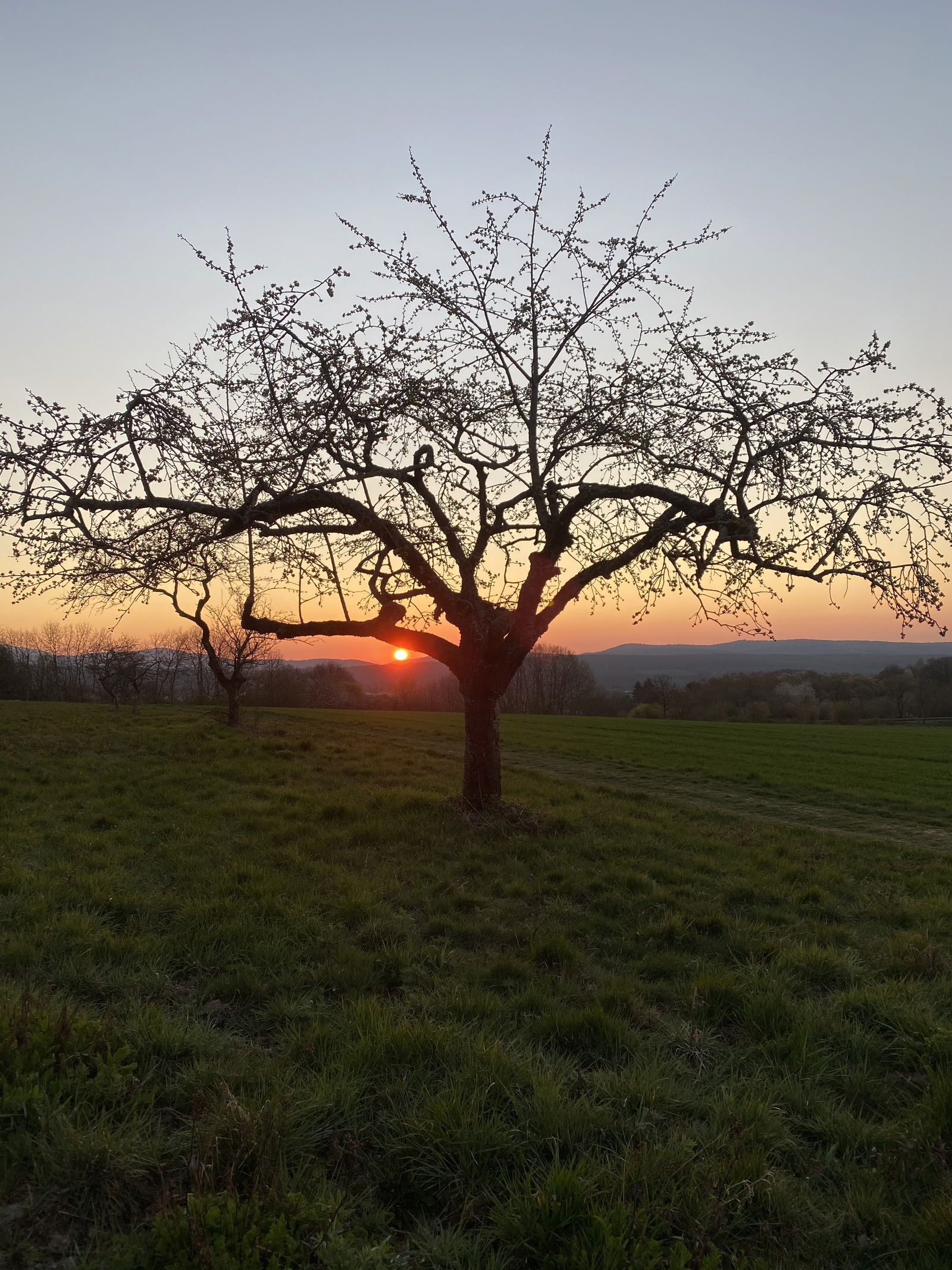 alekeyfromgermany photo