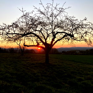 alekeyfromgermany photo