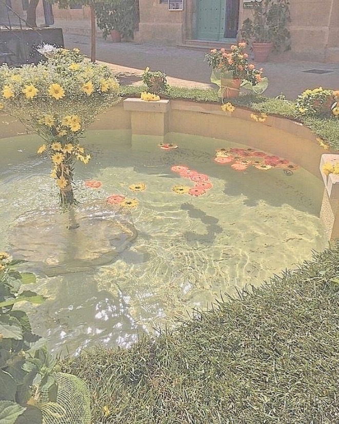 jai⋆｡°✩ photo