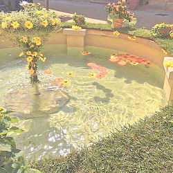 jaiโ๏ฝกยฐโฉ photo