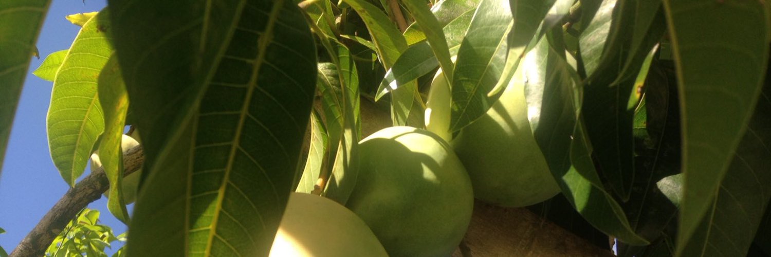 DEFINITELY NOT AURA photo