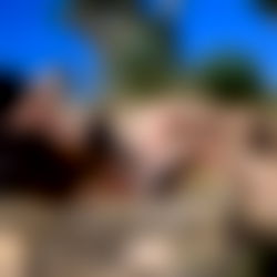 HEYYSHAUNDEEZY ๐ photo