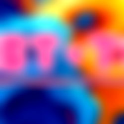 Sweet Teddi BBW photo