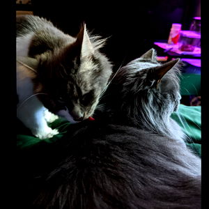 slightly sultry photo