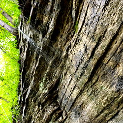 KentuckyCrouton photo