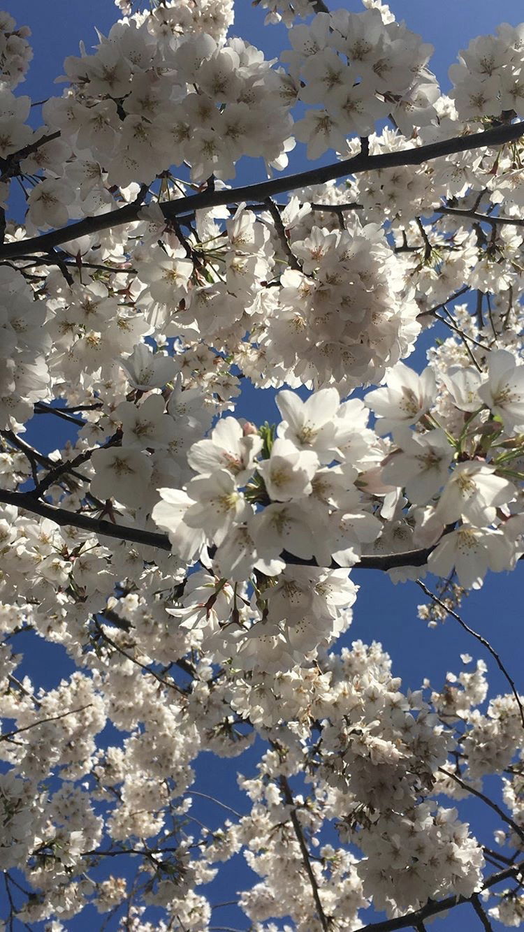 @jodik only $6! photo