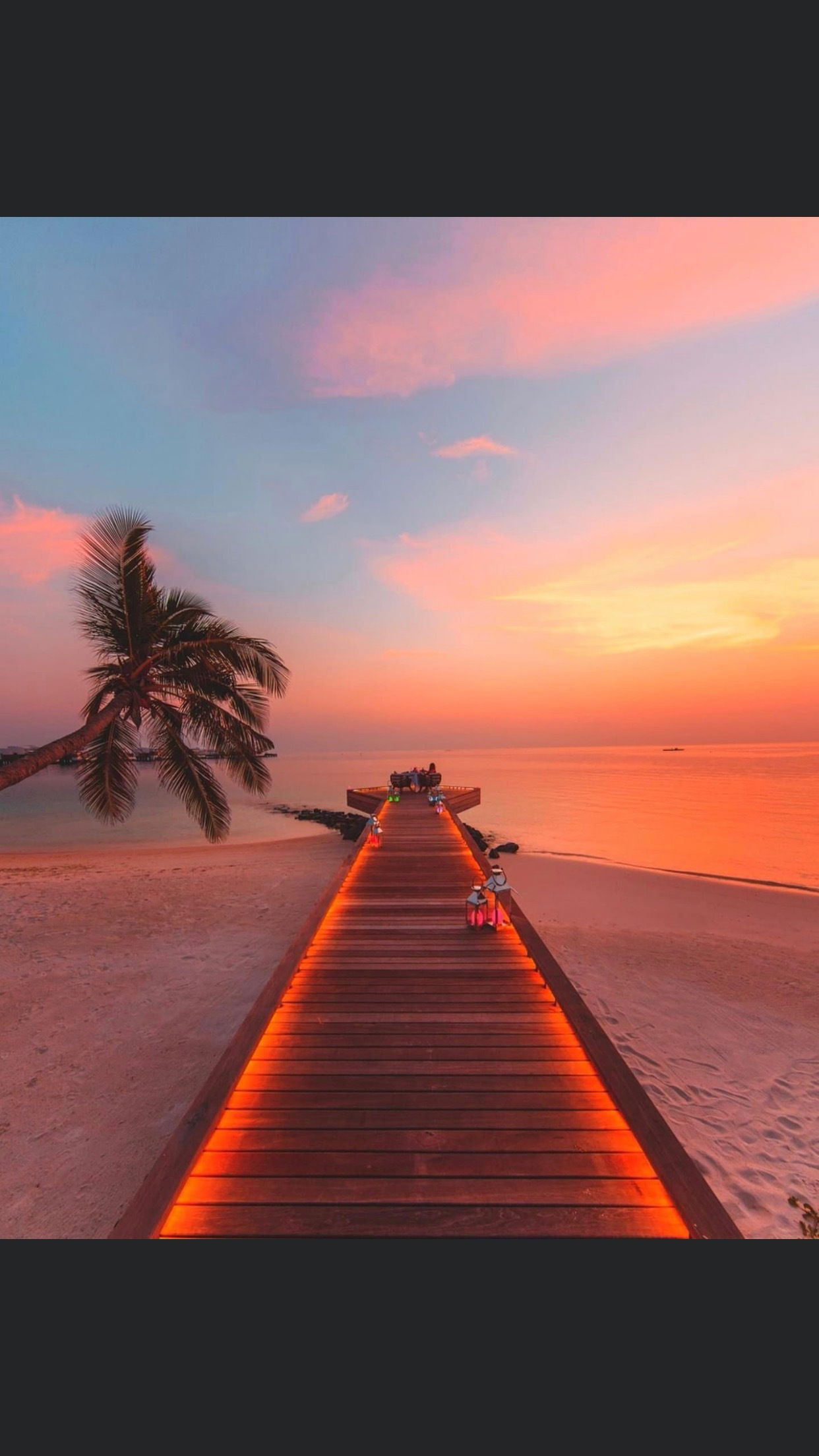 Szarlotka 🌸🌸🌸 photo