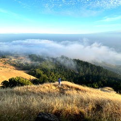 Serene View of a Hazy Mountainside in the Morning
