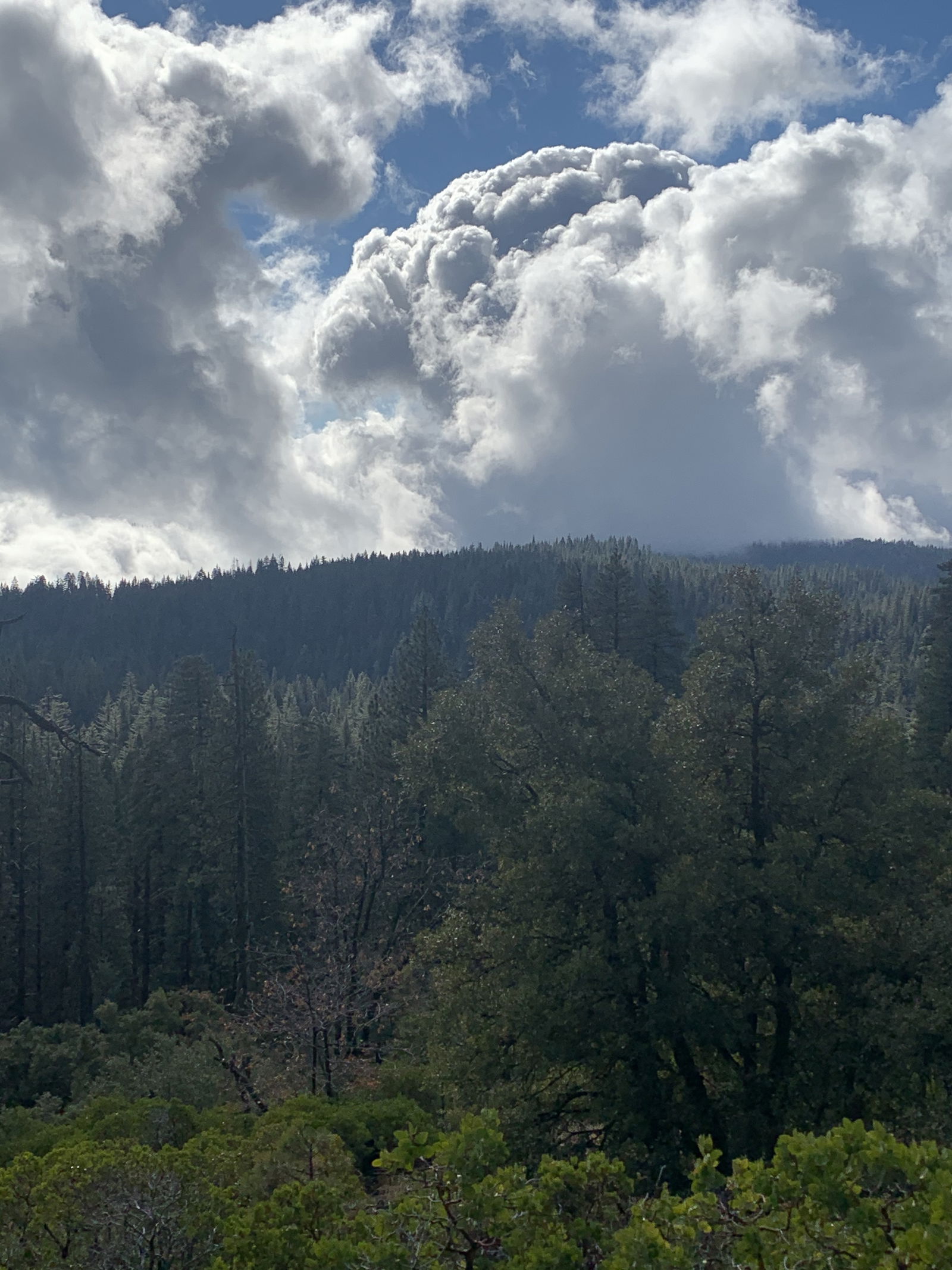 ‎ ‎‏‏‎ ‎ ‏‏‎aluhkazam photo