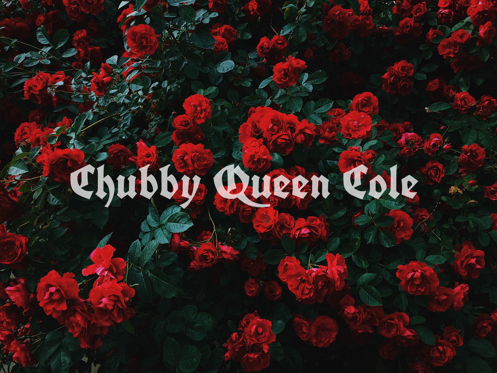 Chubby Queen Cole photo