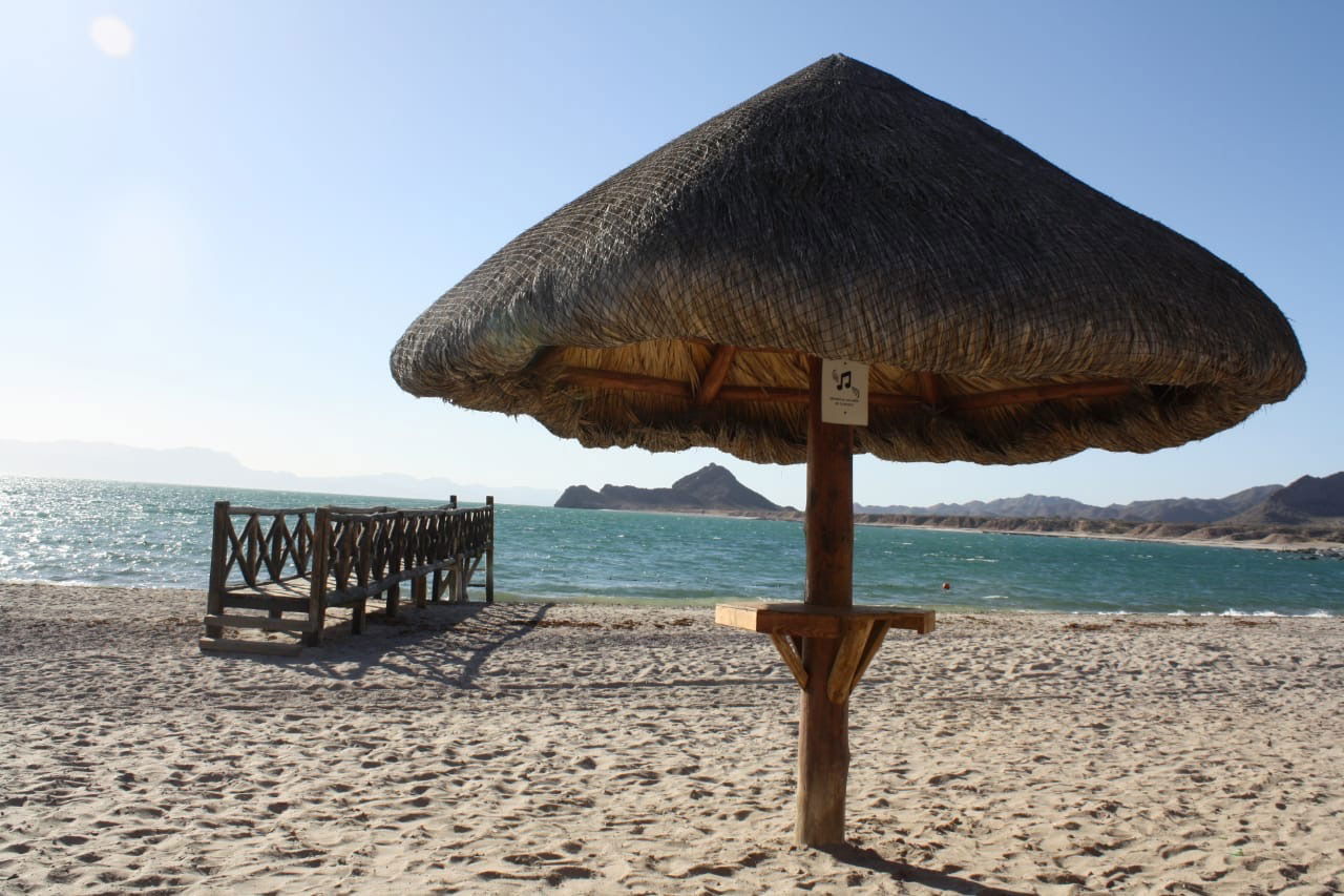 Amantes Toxicos photo