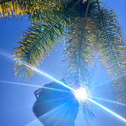 DonLover Enjoying the Sun