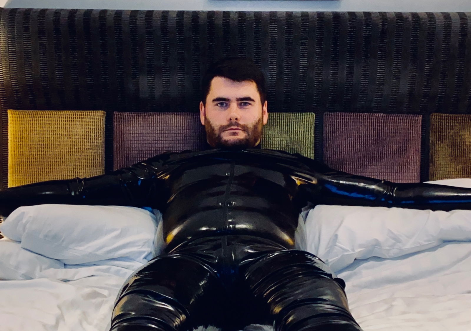 Rubber Jay photo