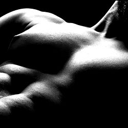 Max Prodigal ๐ฆ photo