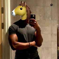 Humorous Horse Face Filter on Man's Instagram