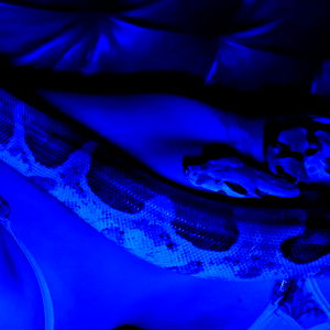 Ariel ๐ฌ๐ฆ photo