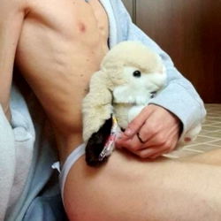 A Cute Femboy with a Stuffed Bunny