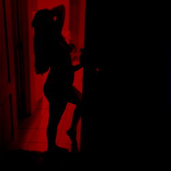 A Nighttime Vignette: Rose Storm