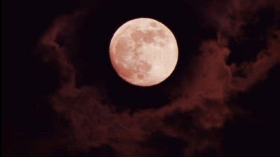 Abaddon’s Doll ⚔️ photo