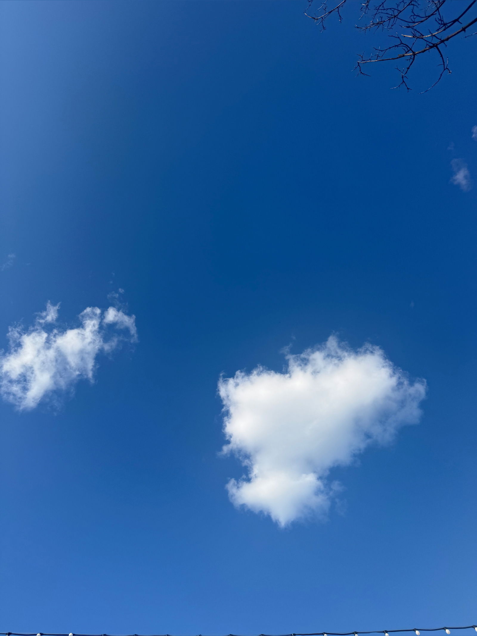 🩷 𝑆𝐴𝑅𝐴𝐻 𝐾𝐸𝑁𝐿𝐸𝑌 🩷 photo