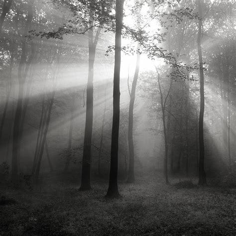 Altera Dimensions photo