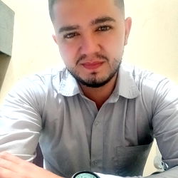 Alejodelcastillo in a Professional Setting