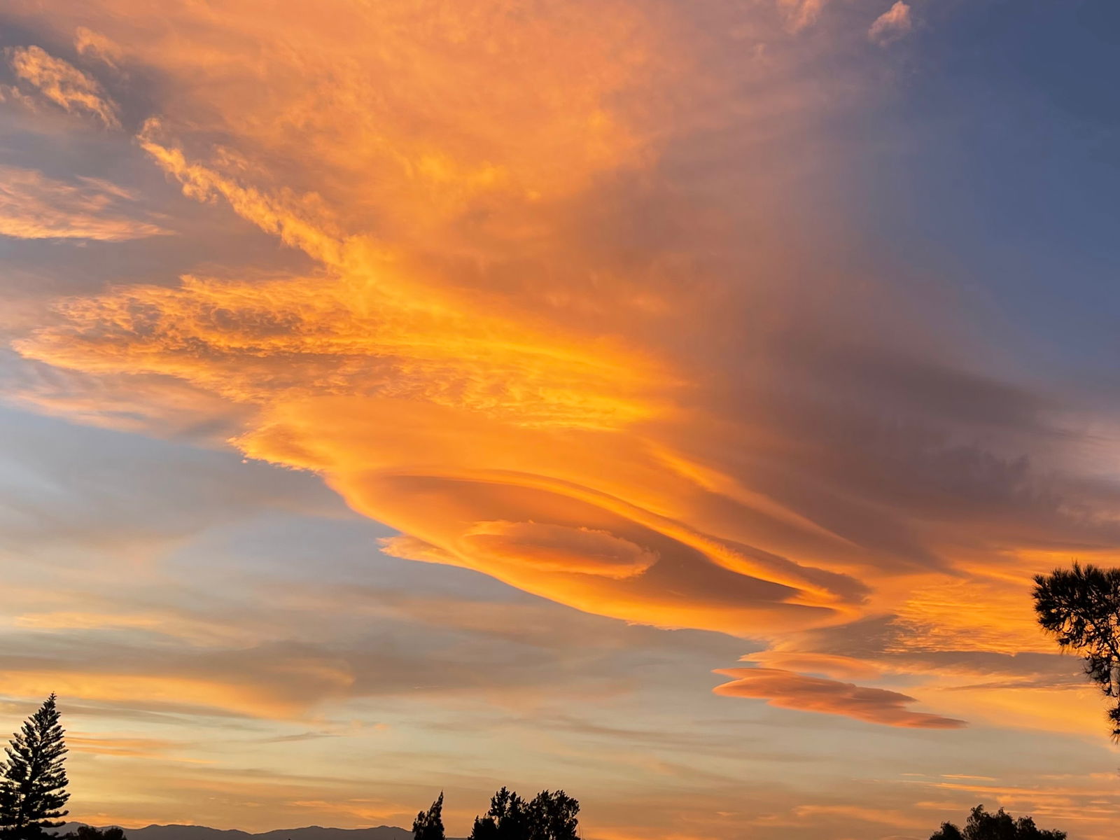 Pedro Martinez photo