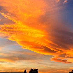 Pedro Martinez photo