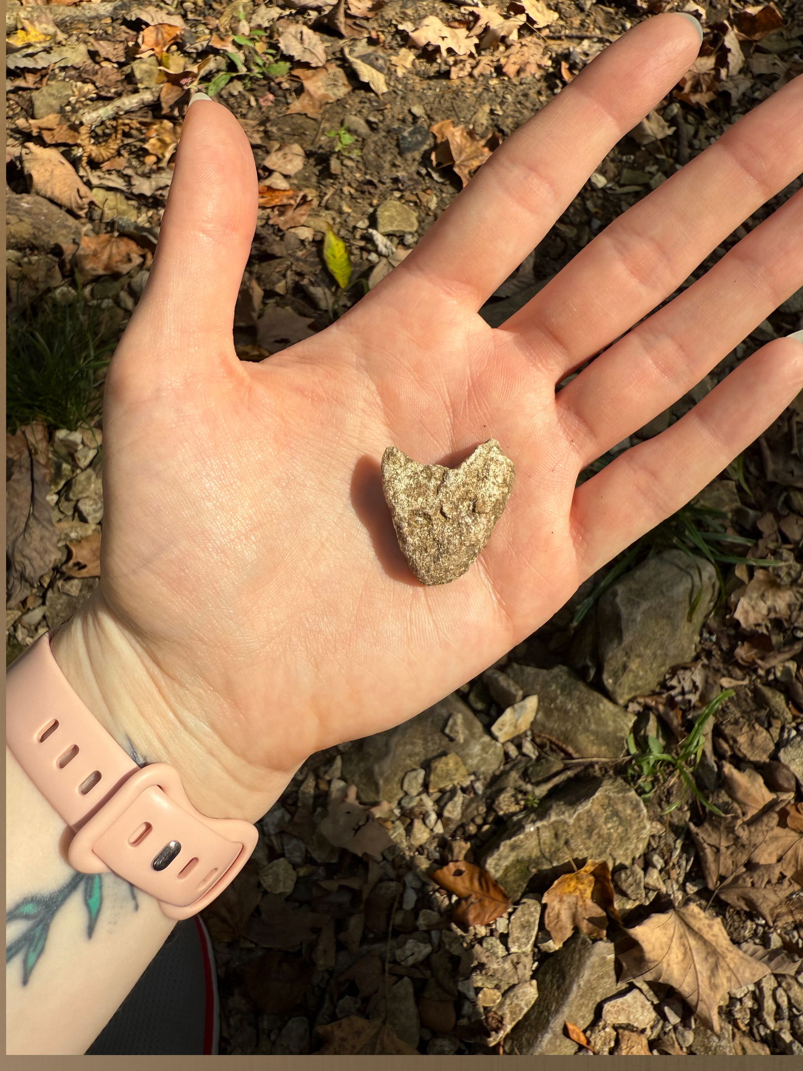 🧡 𝒢𝒾𝓃𝑔𝑒𝓇 𝑅𝒶𝓅𝓊𝓃𝓏𝑒𝓁- Retiring 🧡 photo