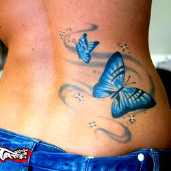 Detroit Model Butterflies