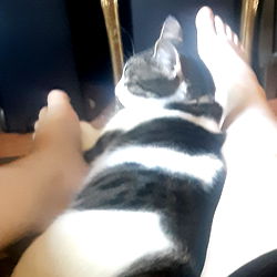 An Unexpected Nap - OnlyFans Model Dixie Mcleay