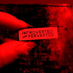 Xลchiquetzal photo