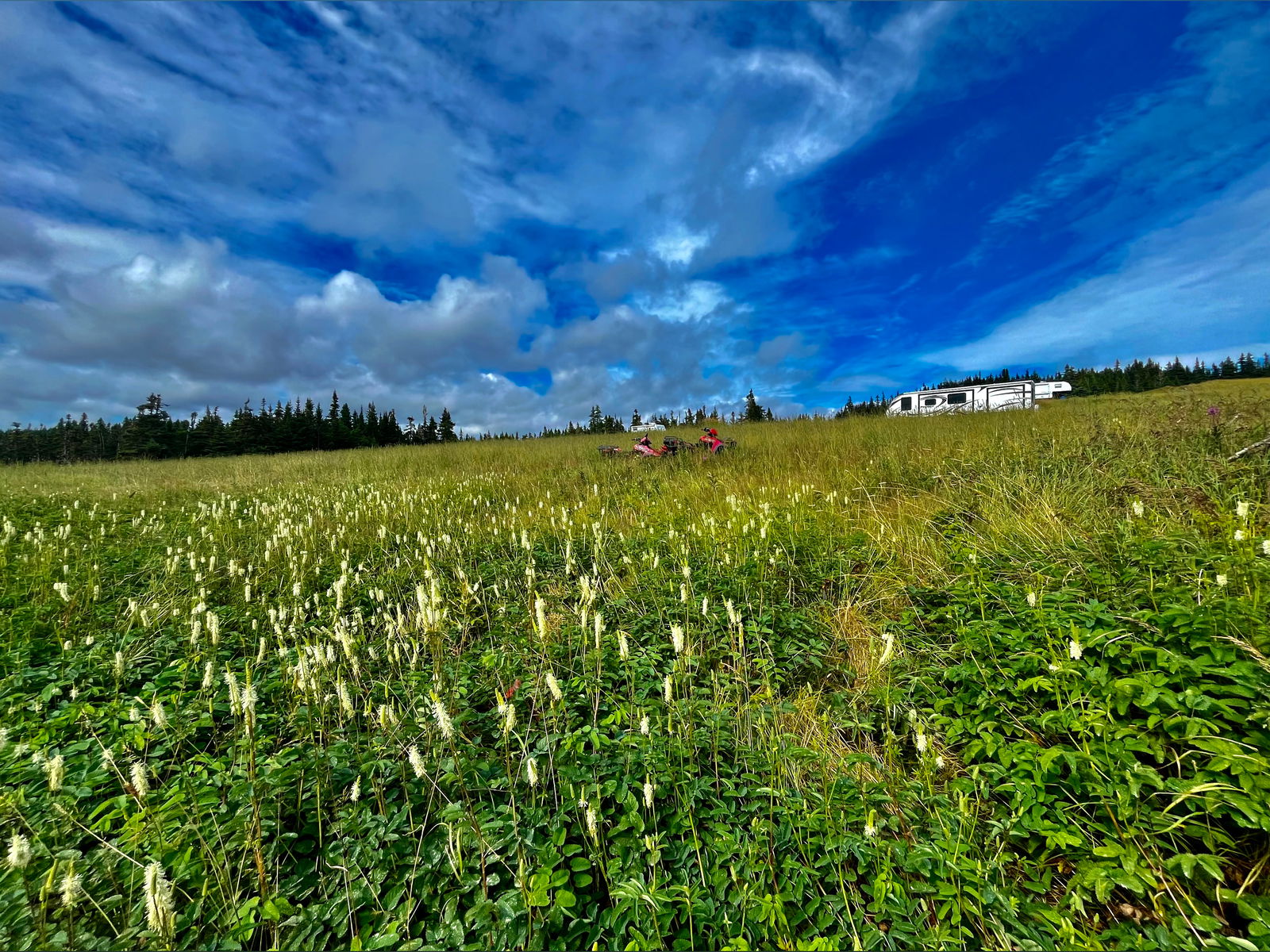 Hard_thick_cock photo