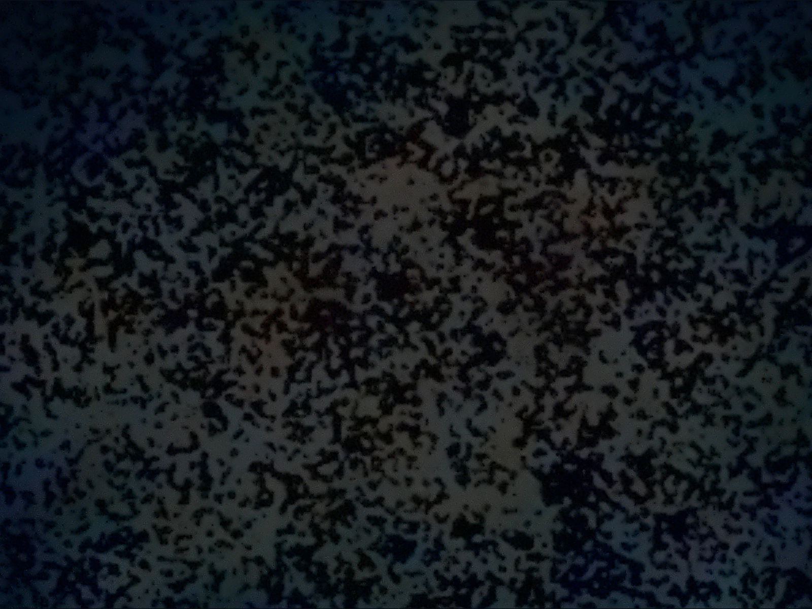 Private Roster 😋 photo