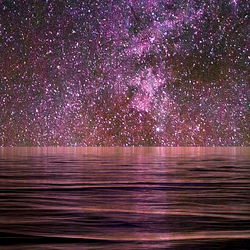 Paislee Johnson photo