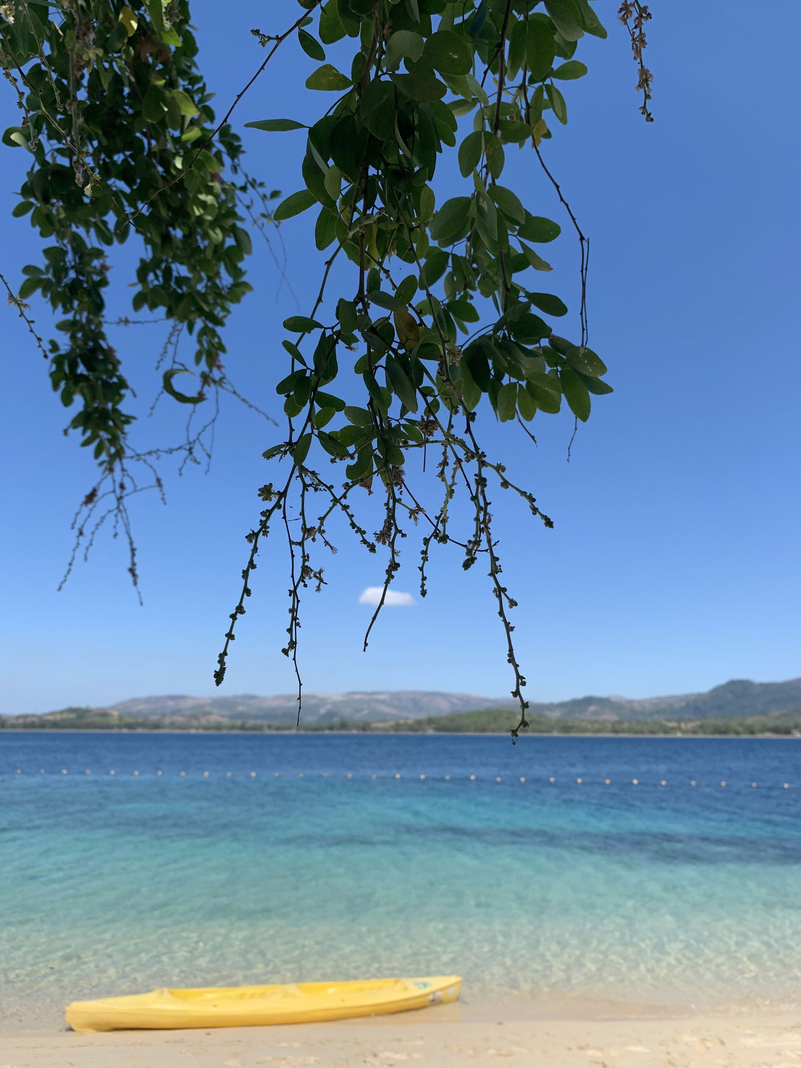 Amber 🧚🏼‍♀️💋 photo