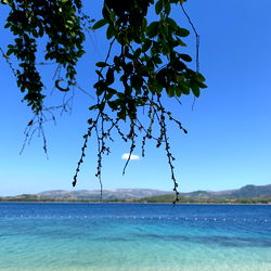 Amber 🧚🏼‍♀️💋 photo