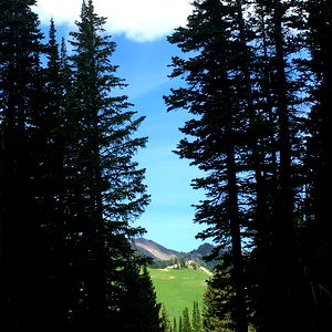 Chip Carterxxx photo