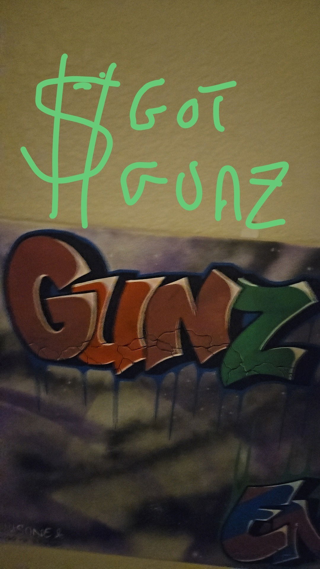 GUNZ1010 photo