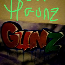 GUNZ1010 photo