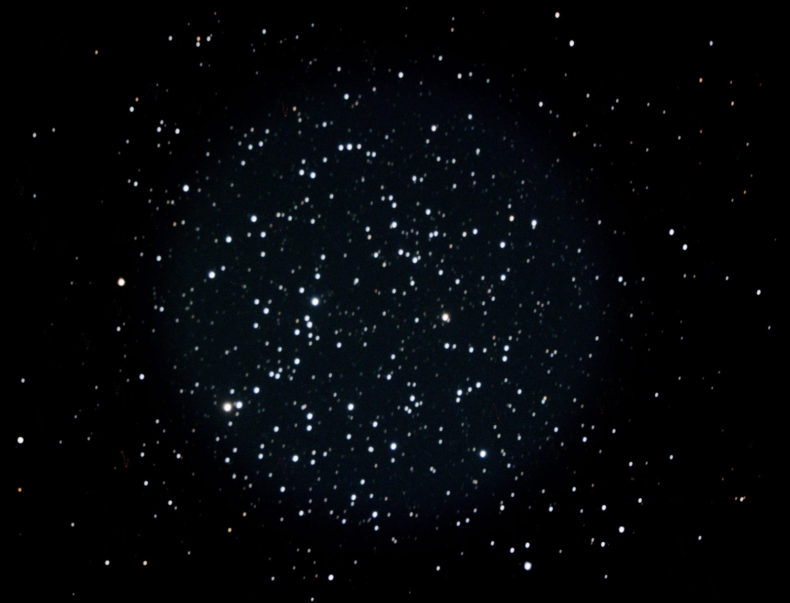 Andromeda Persephone photo