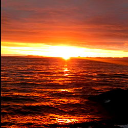 Alekz Arellano photo