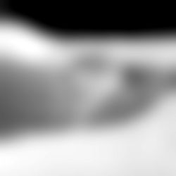 Andrea Maldonado photo