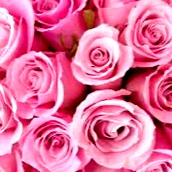 Avalynn 💖💦💖💦💖💦 photo