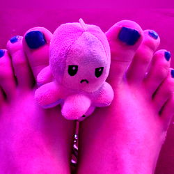 Dumb Little Spider - Hamburg